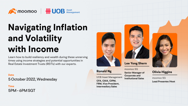 Navigating Inflation and Volatility with Income