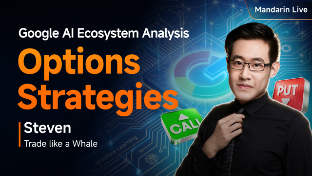 Google AI Ecosystem and Options Strageties