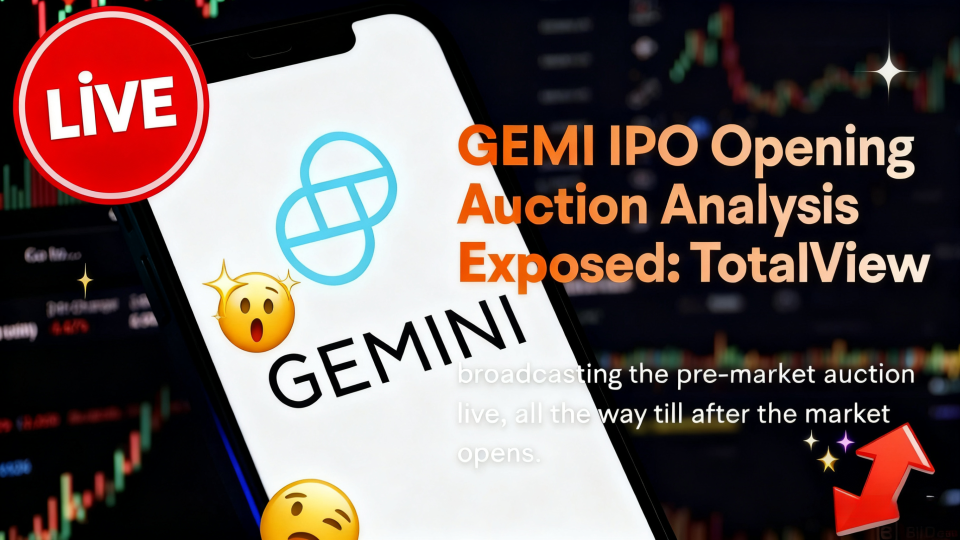 GEMI IPO开盘拍卖分析披露：TotalView